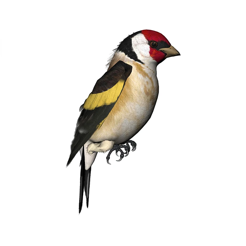 Tinsel Garland Decoration - Desain baru untuk perada Finches stiker